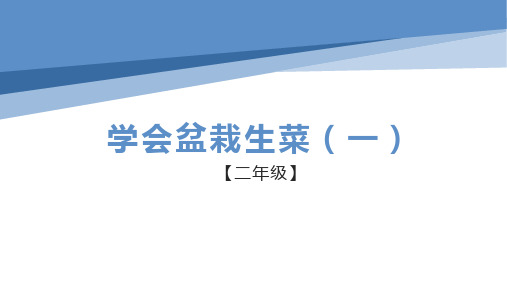 盆栽生菜小学劳技加综合实践PPT课件