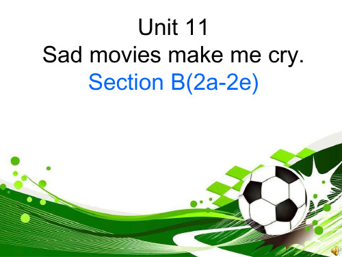 人教版英语九年级  Unit11 SectionB 2a-2e 课件