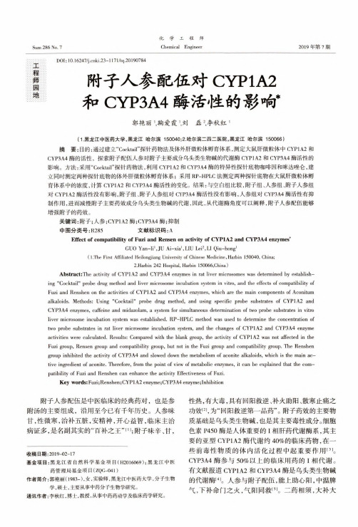 附子人参配伍对CYP1A2和CYP3A4酶活性的影响