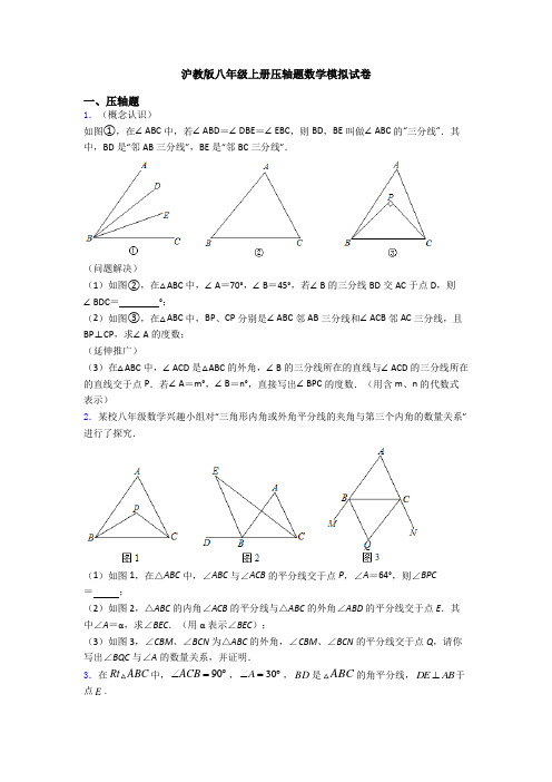 沪教版八年级上册压轴题数学模拟试卷