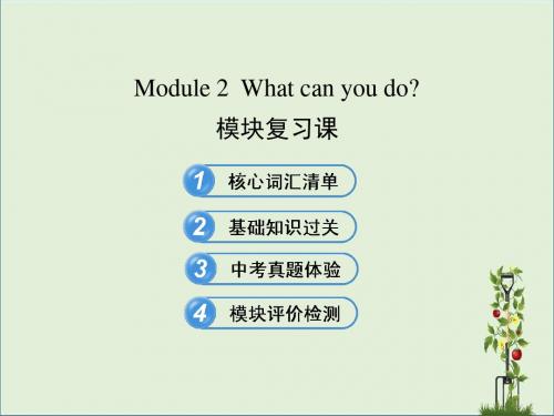 七年级英语下册 Module 2 What can you do模块复习课课件 (新版)外研版