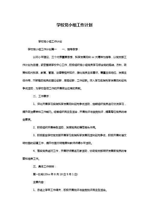 学校党小组工作计划