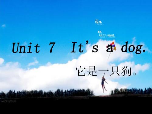 2015湘少版英语三上《Unit 7 it's a dog》课件