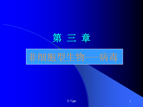非细胞型生物—病毒