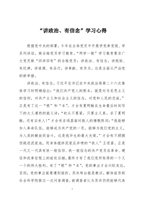 讲政治有信念学习心得