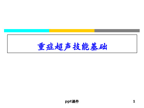 重症超声基础