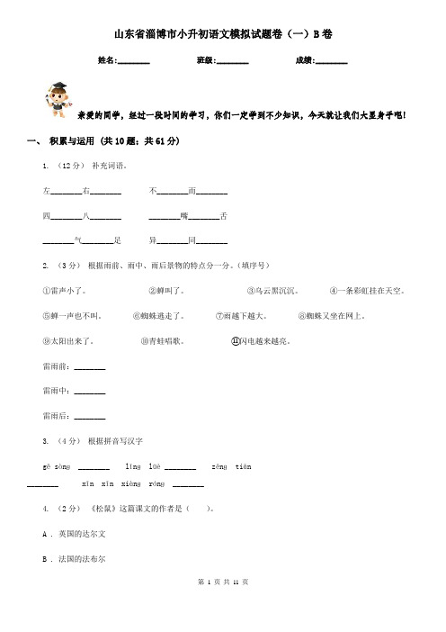 山东省淄博市小升初语文模拟试题卷(一)B卷