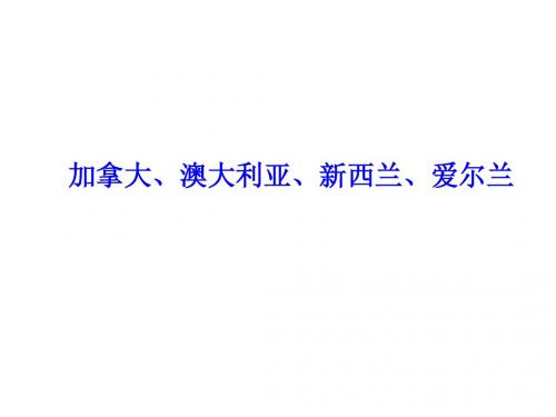专业八级人文知识4