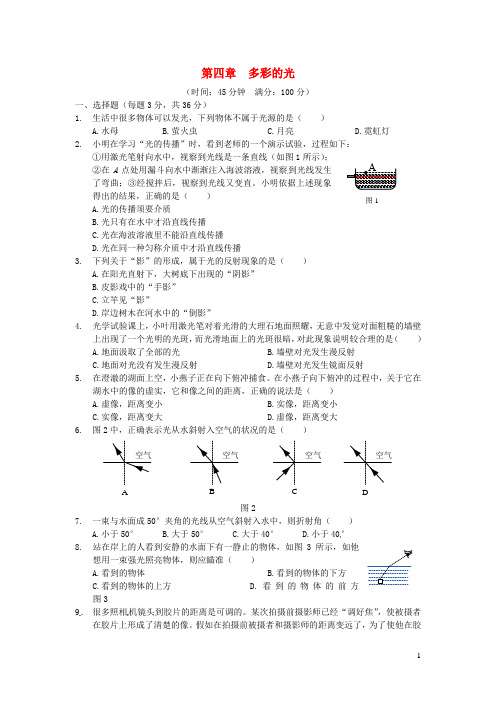 2024八年级物理上册第四章多彩的光检测新版沪科版