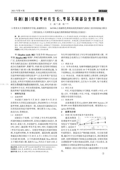 环剥（割）对骏枣叶片生长、枣吊不同部位坐果的影响