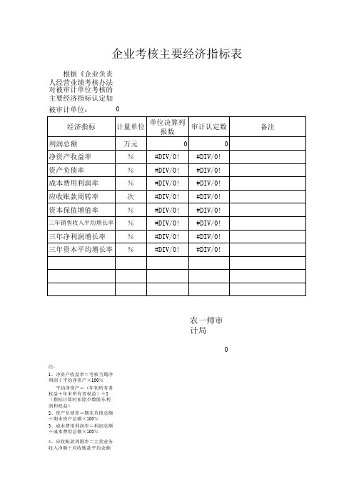 考核主要经济指标表