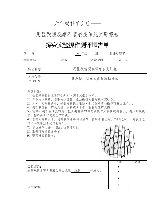 用显微镜观察洋葱表皮细胞实验报告单