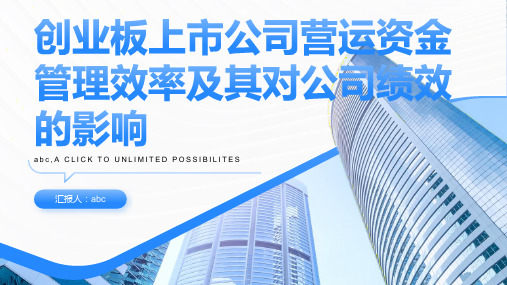 创业板上市公司营运资金管理效率及其对公司绩效的影响