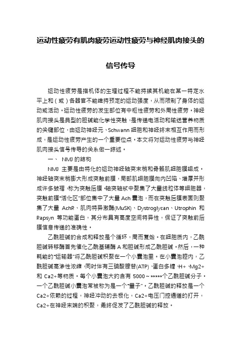 运动性疲劳有肌肉疲劳运动性疲劳与神经肌肉接头的信号传导