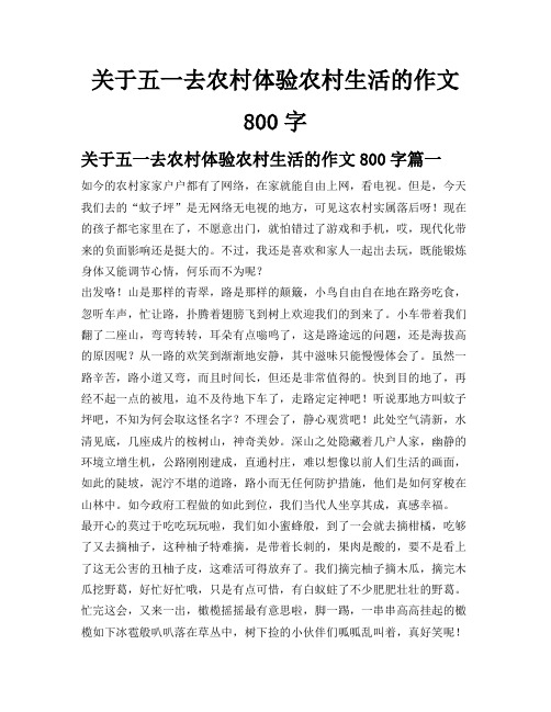 关于五一去农村体验农村生活的作文800字