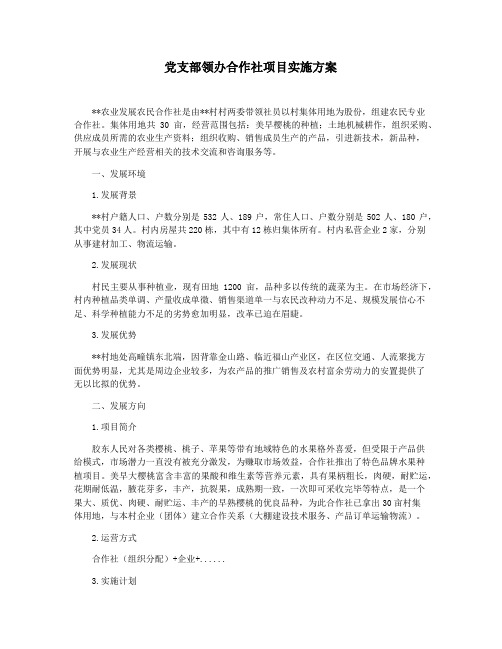 党支部领办合作社项目实施方案