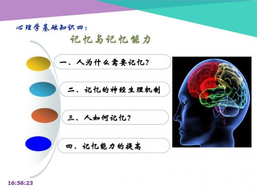 第4讲 记忆与记忆能力(王有智)