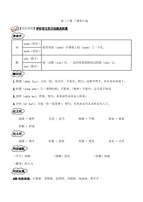 2024年秋季小学语文六年级上册知识点+配练习