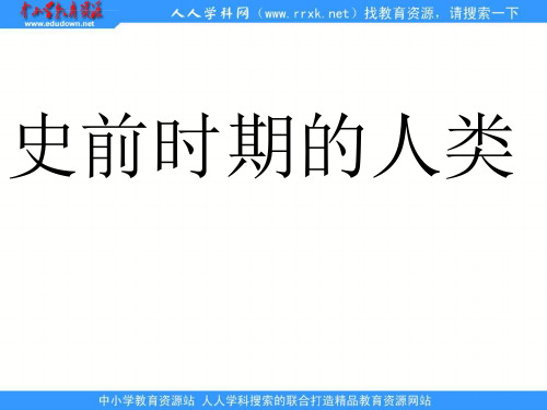 冀教版九上史前时期的人类课件