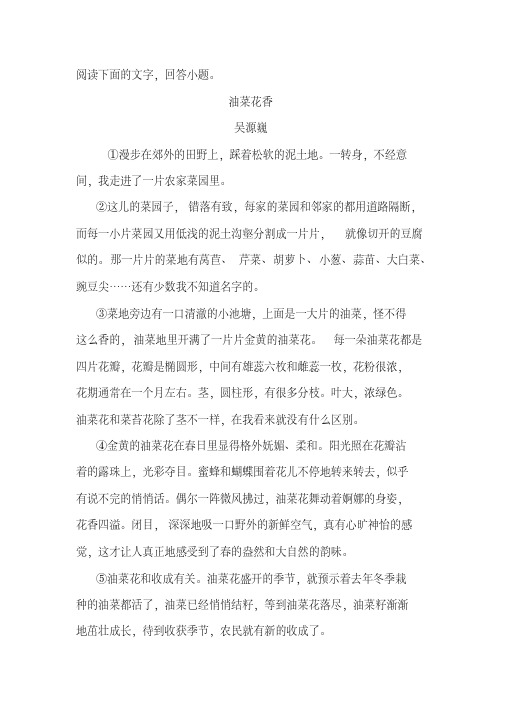 《油菜花香》阅读练习及答案