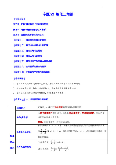 专题22 相似三角形(归纳与讲解)(解析版)