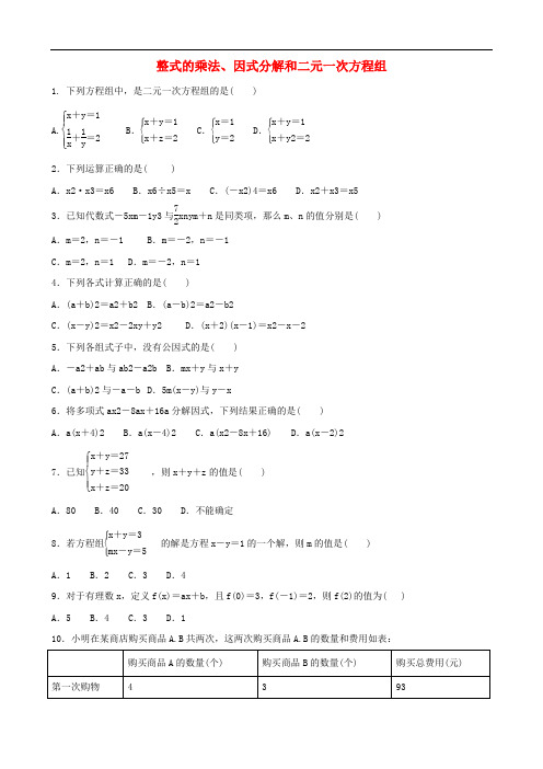 整式的乘法因式分解和二元一次方程组专题训练-中考数学专题复习练习