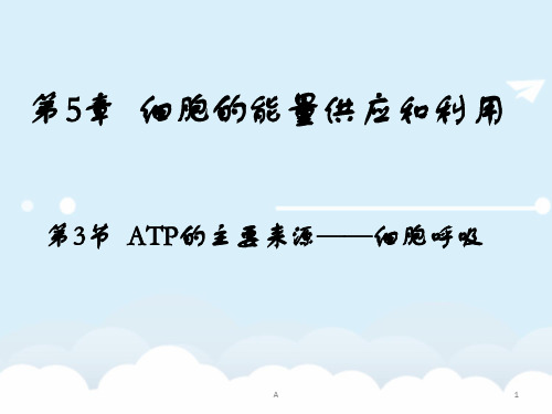 高中生物 5.3 ATP的主要来源-细胞呼吸课件 新人教版必修1