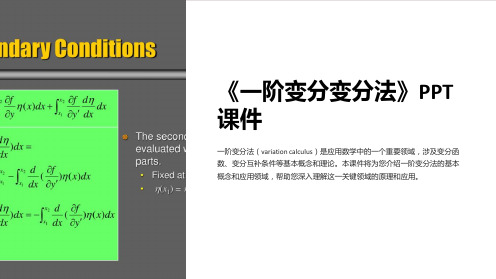 《一阶变分变分法》课件