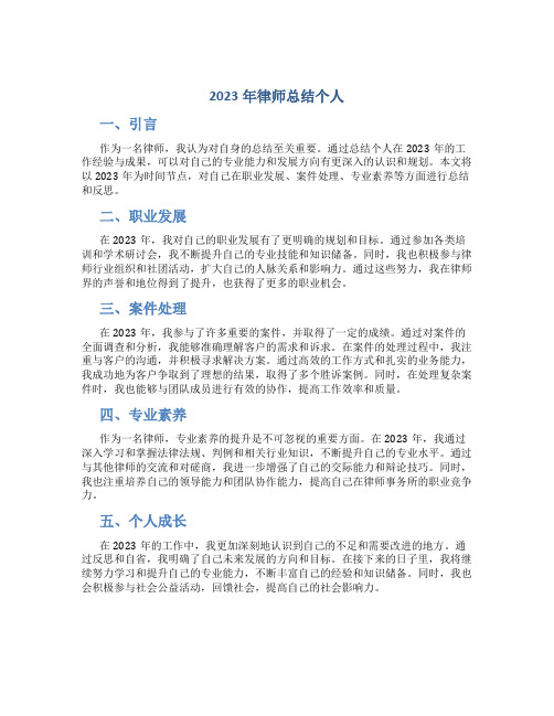 2023年律师总结个人