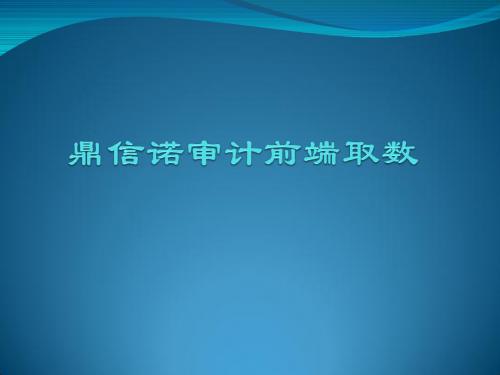 鼎信诺审计前端取数讲解