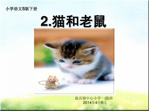 小学语文S版一年级下册   2.《猫和老鼠》课件