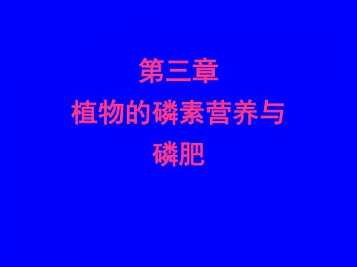 第三章植物磷素营养与磷肥