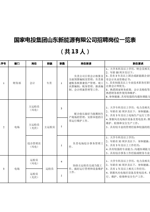 国家电投集团山东新能源有限公司招聘岗位一览表