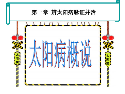 伤寒论太阳病概说