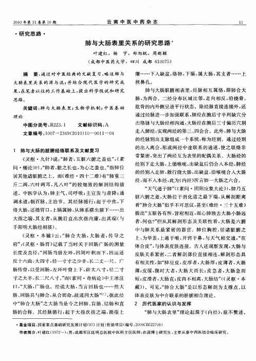 肺与大肠表里关系的研究思路