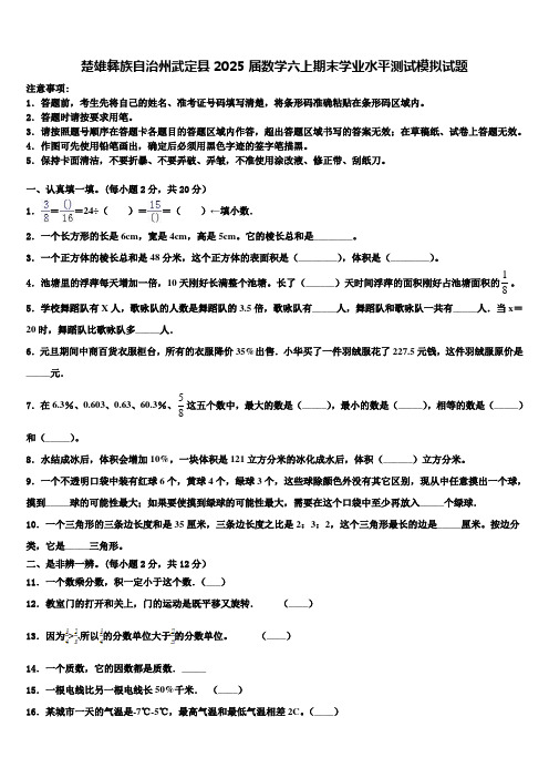 楚雄彝族自治州武定县2025届数学六上期末学业水平测试模拟试题含解析