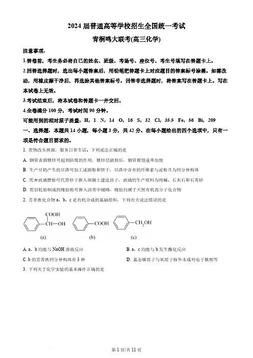 2024届河南省青桐鸣联考高三上学期12月月考化学试题及答案