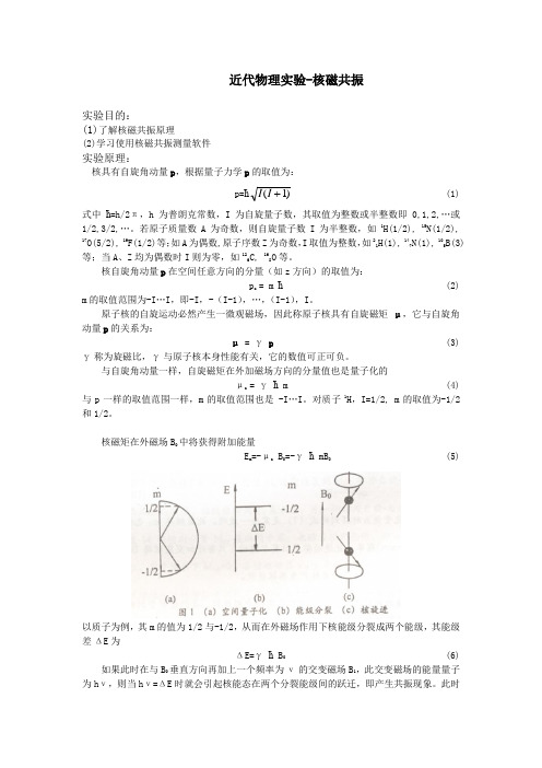 脉冲核磁共振实验