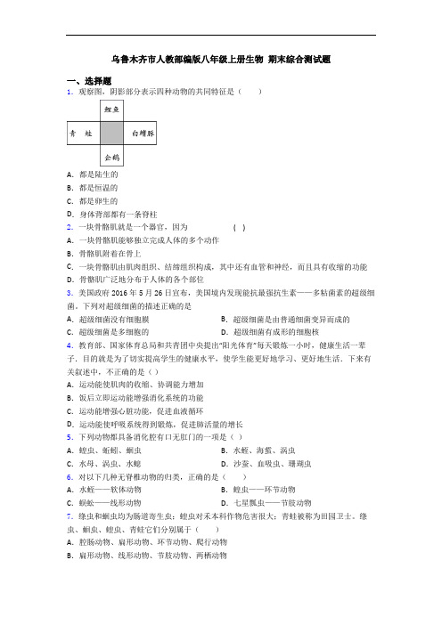 乌鲁木齐市人教部编版八年级上册生物 期末综合测试题