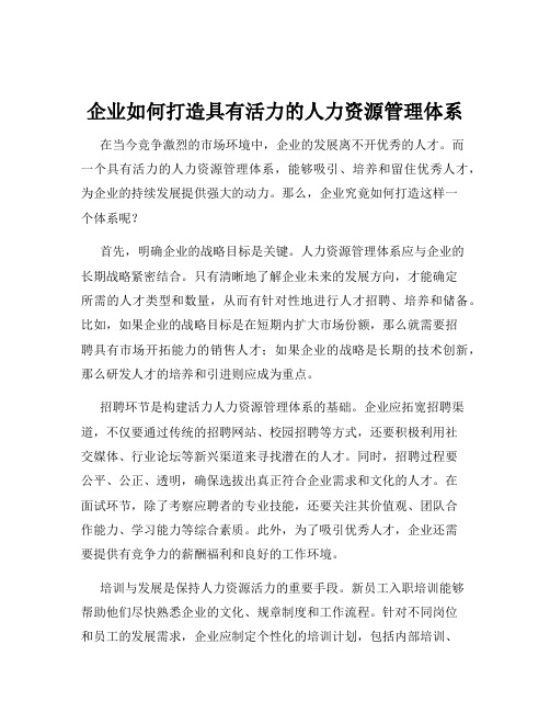 企业如何打造具有活力的人力资源管理体系