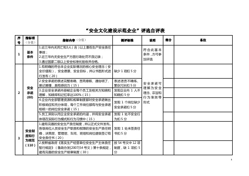 安全文化建设自评表