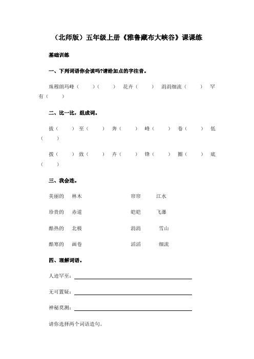 北师大语文第九册雅鲁藏布大峡谷同步测试2