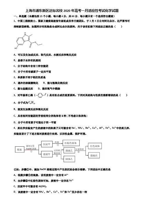 上海市浦东新区达标名校2020年高考一月适应性考试化学试题含解析