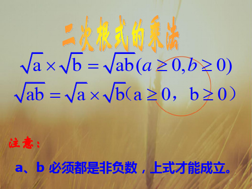 初三数学最新课件-二次根式的除法 精品