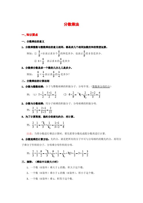 六年级上册数学《分数乘法》知识点整理