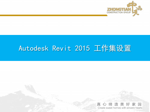 Autodesk Revit 2015 工作集设置