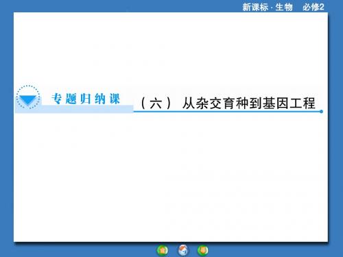 高中生物(人教版)必修2课件：专题归纳课6第6章《从杂交育种到基因工程》(共34张PPT)