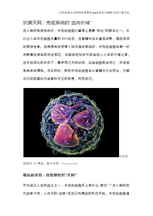 抗菌天网中性粒细胞