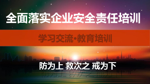 10 全面落实企业安全生产主体责任专题培训(101页)