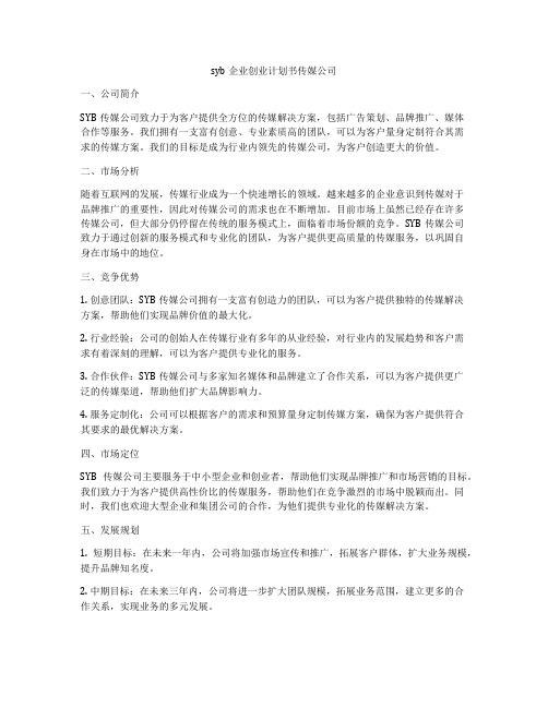 syb企业创业计划书传媒公司